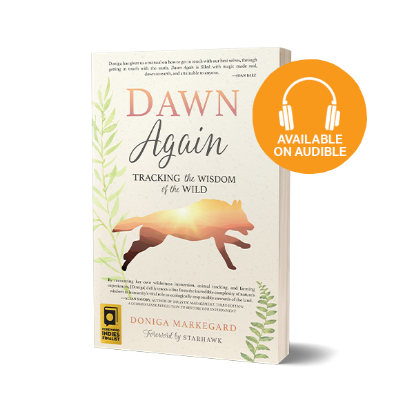 <strong>DAWN AGAIN: TRACKING THE WISDOM OF THE WILD</strong>
